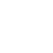 The Arena Icon