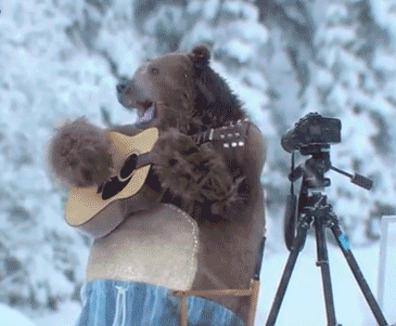 Beartooth Guitar Bear